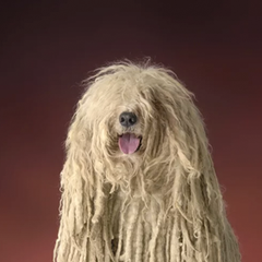 Click image for larger version

Name:	dog_medium.png?v=1544104203.png
Views:	197
Size:	85.6 KB
ID:	4153502