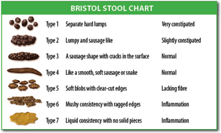 Click image for larger version

Name:	bristol-stool-chart-1590503975.png?resize=768:*.png
Views:	89
Size:	233.7 KB
ID:	4163134