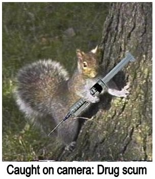 Click image for larger version

Name:	Squirrel+drug+runner+bastard.jpg
Views:	123
Size:	34.9 KB
ID:	4176103