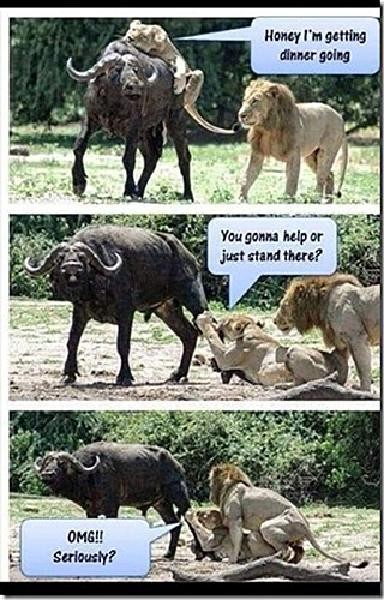 Click image for larger version

Name:	54104.jpg
Views:	207
Size:	93.0 KB
ID:	4181868