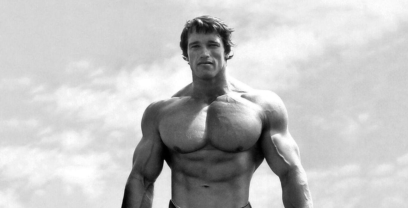 Click image for larger version

Name:	Mountain-Dog-Chest-e1625420847995.jpg
Views:	84
Size:	111.6 KB
ID:	4184339