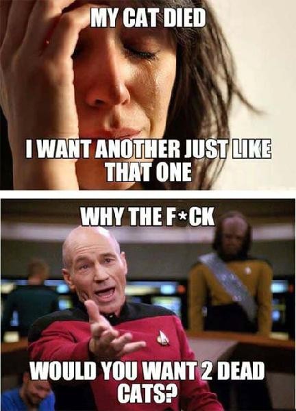 Click image for larger version

Name:	55793.jpg
Views:	92
Size:	62.0 KB
ID:	4190878