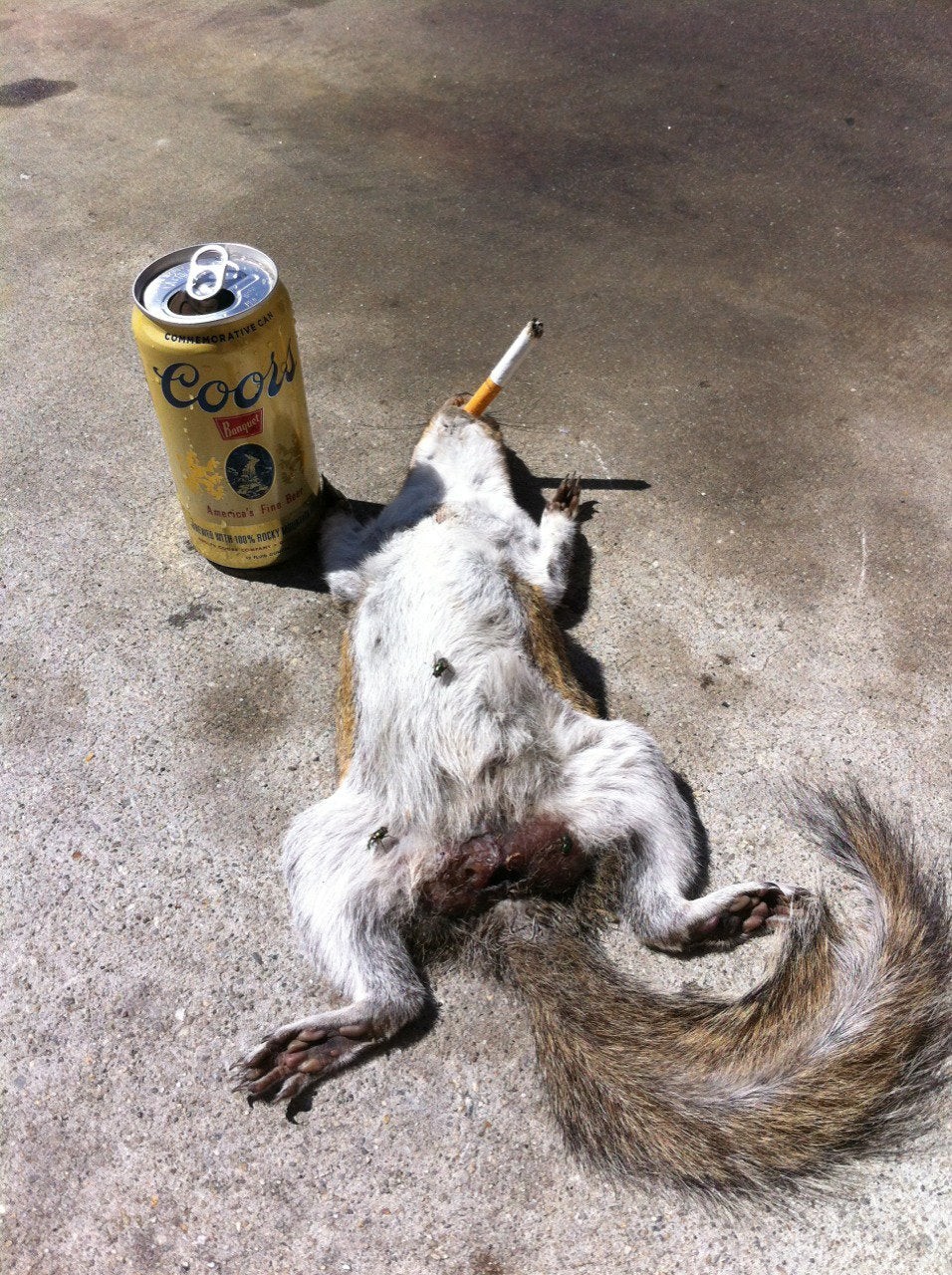 Click image for larger version

Name:	4fzvgqgZL_l1CJQQiX_ll32ps-YeNboPwCK6OKQehZI.jpg?auto=webp&amp;s=acec9328d53a774451fbc91603487a118dd80751.jpg
Views:	139
Size:	508.4 KB
ID:	4196890