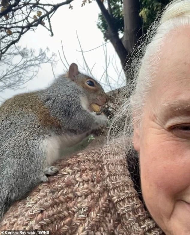 Click image for larger version

Name:	52293089-10349867-Corinne_Reynolds_65_pictured_with_the_squirrel_before_it_began_t-a-56_1640695286663.jpg
Views:	171
Size:	129.9 KB
ID:	4197710