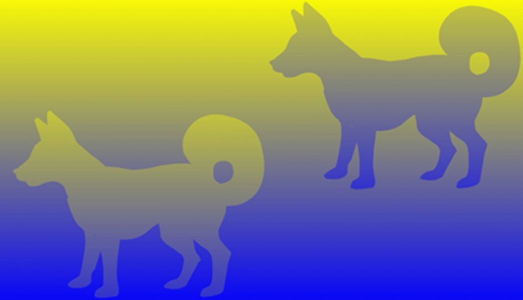 Click image for larger version  Name:	yellow-blue-dogs-big.jpg Views:	0 Size:	42.2 KB ID:	4197946