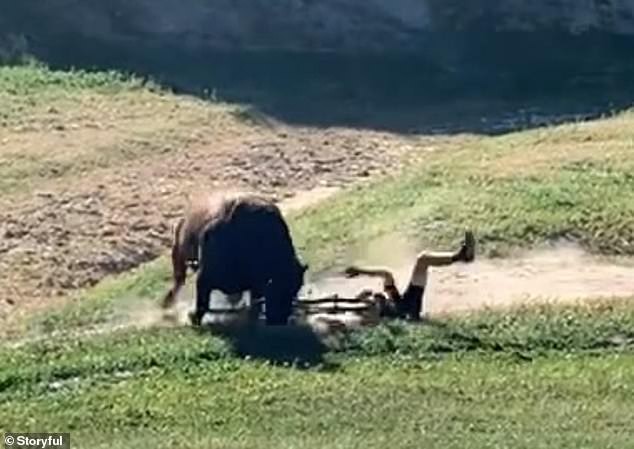 Click image for larger version

Name:	54263649-10518471-image-m-31_1645007784680.jpg
Views:	56
Size:	58.8 KB
ID:	4205275