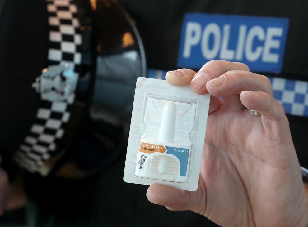 Click image for larger version

Name:	3f76ab53be9b8f83668bfd52ac25a7ecY29udGVudHNlYXJjaGFwaSwxNjQ1MTg1MDM4-2.58934244.jpg?quality=75&amp;width=990&amp;auto=webp&amp;crop=982:726,smart.jpg
Views:	124
Size:	65.9 KB
ID:	4205503