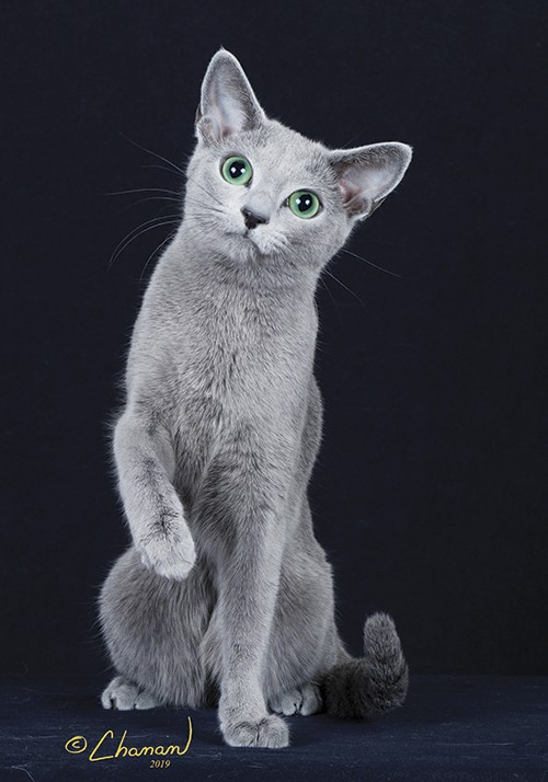 Click image for larger version

Name:	Snow-island_Arianrhod.jpg
Views:	86
Size:	68.4 KB
ID:	4207500