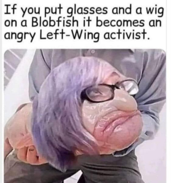 Click image for larger version

Name:	60985-cda19207-3fb9-4382-9fd4-6889e4c7cd2e.jpg
Views:	225
Size:	56.4 KB
ID:	4222050