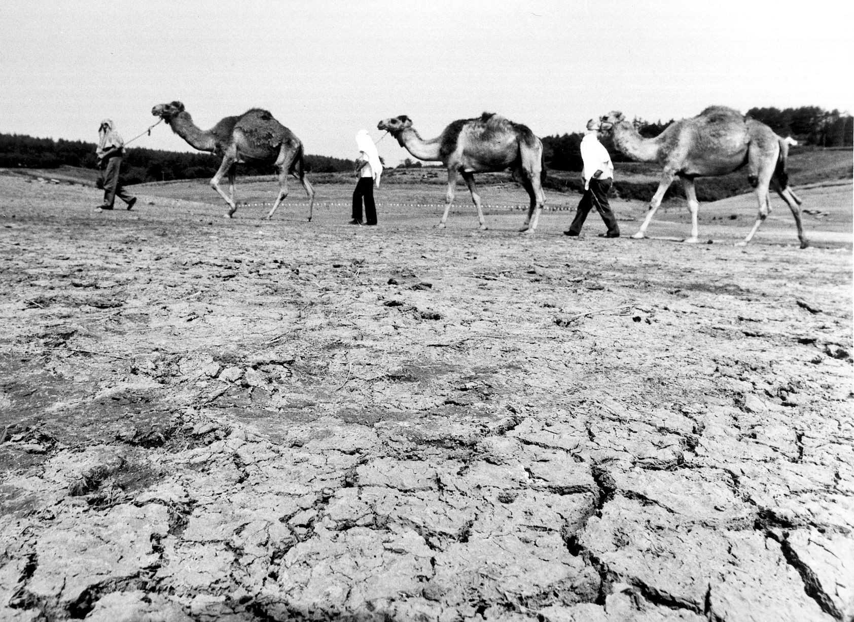 Click image for larger version

Name:	3_JS67263591.jpg
Views:	123
Size:	718.6 KB
ID:	4229314