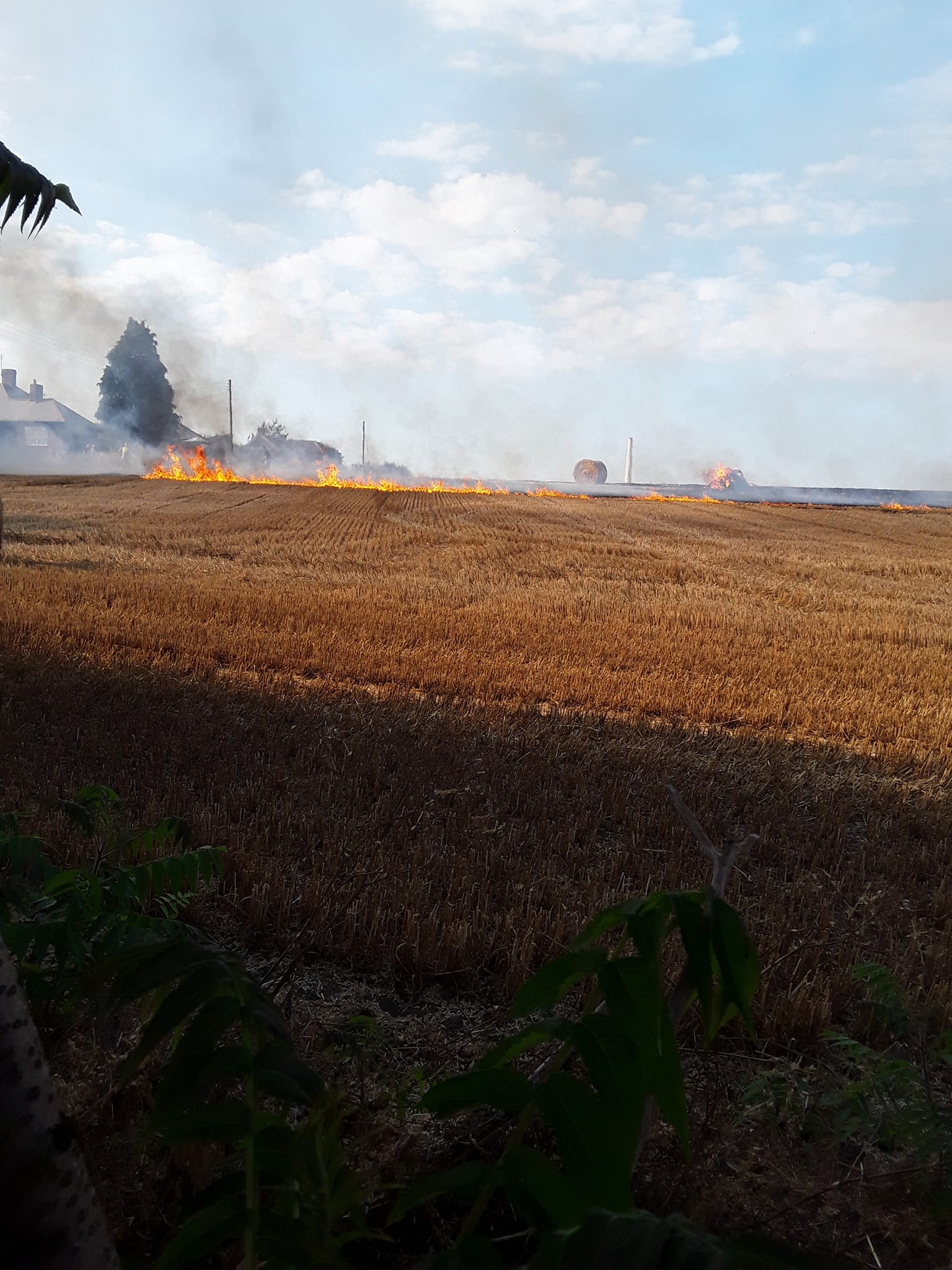 Click image for larger version

Name:	fieldfire.jpeg
Views:	79
Size:	559.7 KB
ID:	4229554