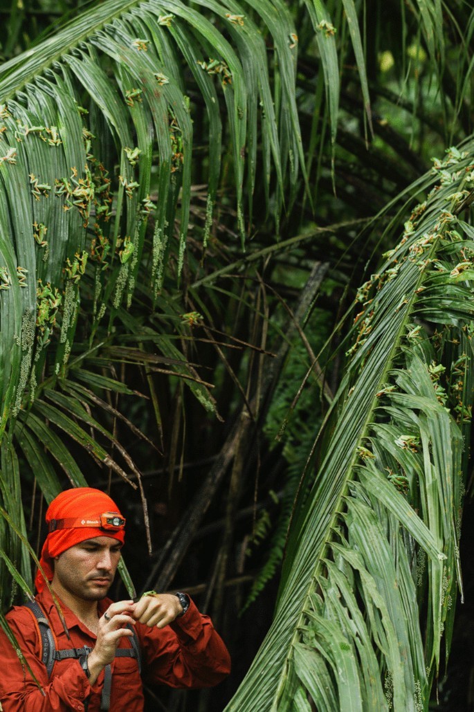 Click image for larger version

Name:	12862_2022_2049_Fig9_HTML.jpg
Views:	196
Size:	236.0 KB
ID:	4230770