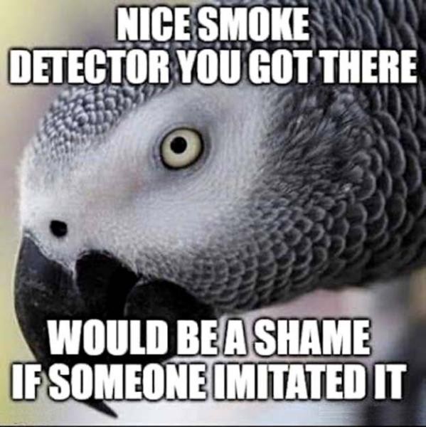 Click image for larger version

Name:	62833-e3c3ea86-725f-4a80-a3a4-aea3febdbc64.jpg
Views:	240
Size:	75.0 KB
ID:	4232659