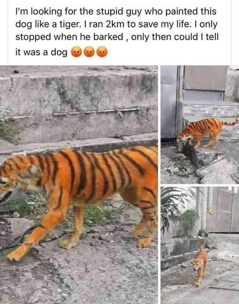 Click image for larger version

Name:	63128-4a3f9866-dbe6-4be6-990c-65e720f951f0.jpg
Views:	169
Size:	83.3 KB
ID:	4234697