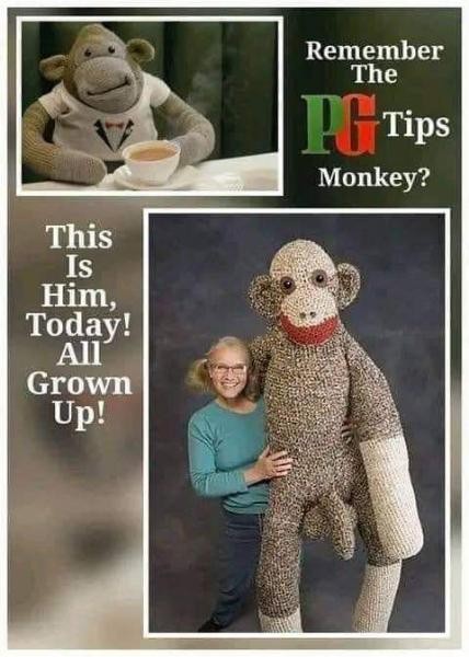 Click image for larger version

Name:	64013-83cf6f02-074a-467b-adff-4e660dee82b4.jpg
Views:	201
Size:	62.9 KB
ID:	4243199