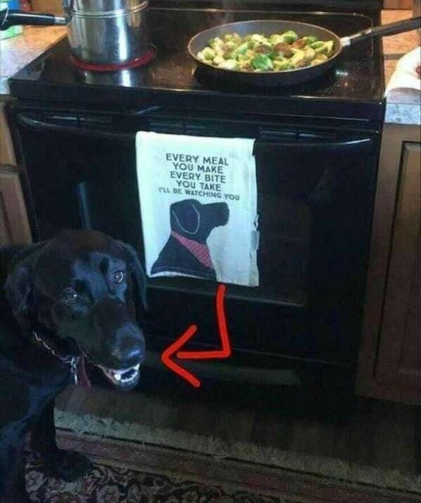 Click image for larger version

Name:	funny-pictures-11-15-22-24.jpg
Views:	124
Size:	65.5 KB
ID:	4244213