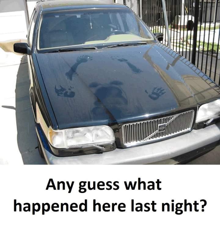 Click image for larger version

Name:	FB_IMG_1503685230456.jpg
Views:	150
Size:	84.7 KB
ID:	4247715