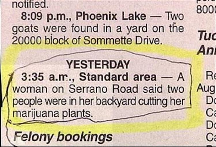 Click image for larger version

Name:	police-funny-10.jpg
Views:	221
Size:	102.0 KB
ID:	4249219