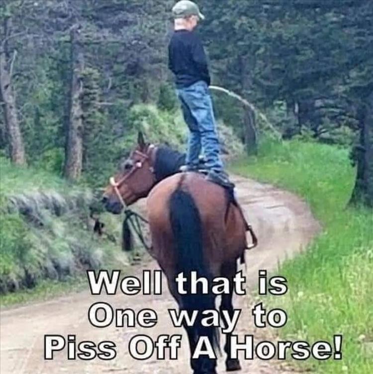Click image for larger version

Name:	z-funny-memes-8-1.jpg
Views:	119
Size:	119.5 KB
ID:	4252475
