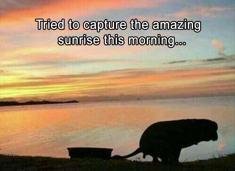 Click image for larger version

Name:	z-funny-87-1.jpg
Views:	155
Size:	58.5 KB
ID:	4255572