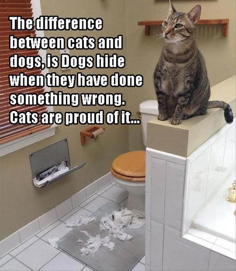 Click image for larger version

Name:	z-animals-75.jpg
Views:	190
Size:	128.0 KB
ID:	4258071