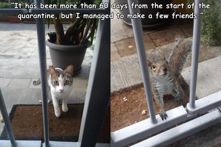 Click image for larger version

Name:	pics-9-1.jpg
Views:	153
Size:	93.5 KB
ID:	4261222