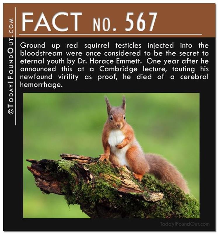 Click image for larger version

Name:	fun-facts-1.jpg
Views:	140
Size:	118.2 KB
ID:	4262909