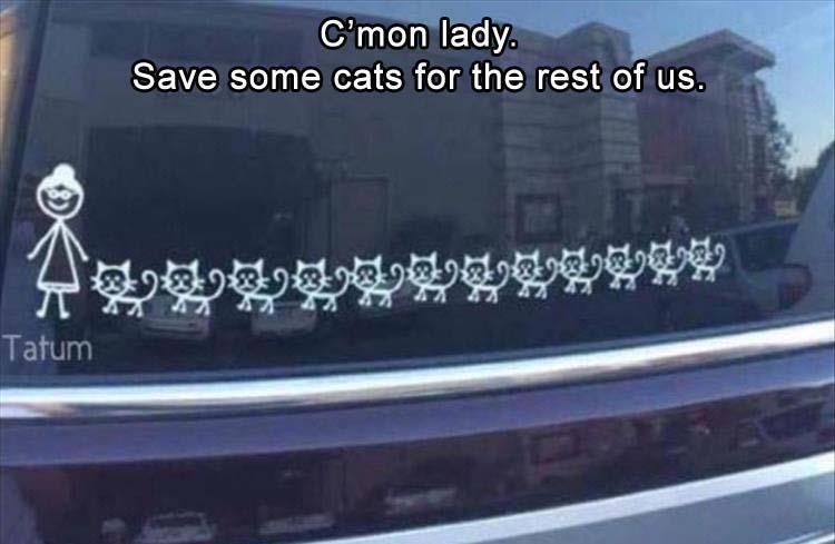 Click image for larger version

Name:	z-funny-photos-100.jpg
Views:	154
Size:	58.5 KB
ID:	4264468