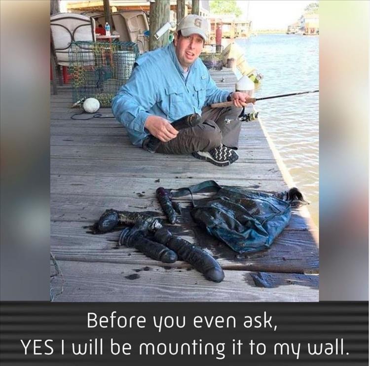 Click image for larger version

Name:	z-funny-42.jpg
Views:	43
Size:	113.8 KB
ID:	4264950