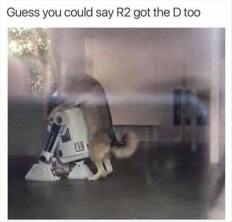 Click image for larger version

Name:	z-memes-17-1.jpg
Views:	116
Size:	56.8 KB
ID:	4266195