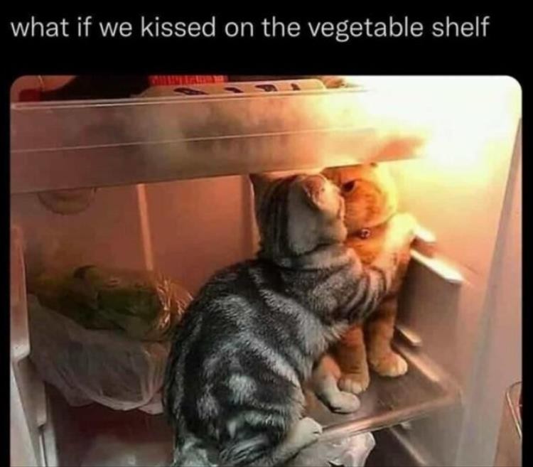 Click image for larger version

Name:	youre-kissing.jpg
Views:	123
Size:	64.5 KB
ID:	4275552