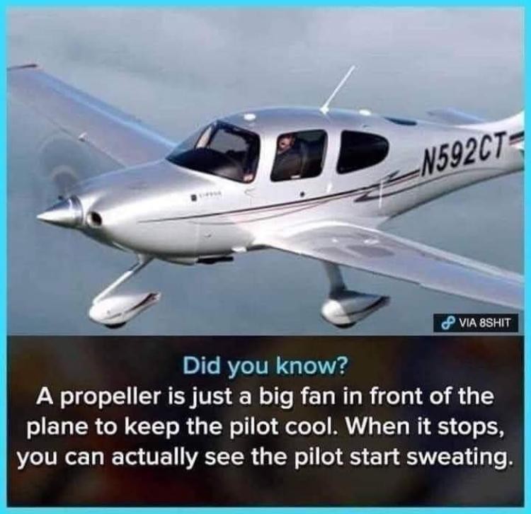 Click image for larger version

Name:	69224-ad9d6729-b57c-40d2-9115-a36a57ddc1f5.jpg
Views:	110
Size:	78.4 KB
ID:	4277776