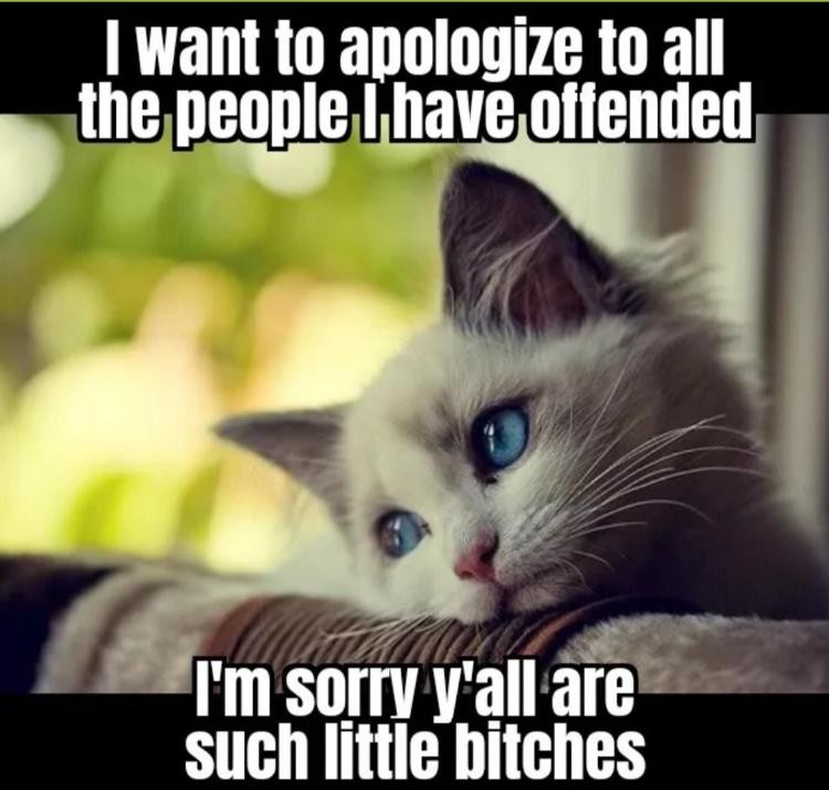 Click image for larger version

Name:	69398-30c20ff6-57d0-4db8-baa9-5b4c9c551b4d.jpg
Views:	153
Size:	87.8 KB
ID:	4279130