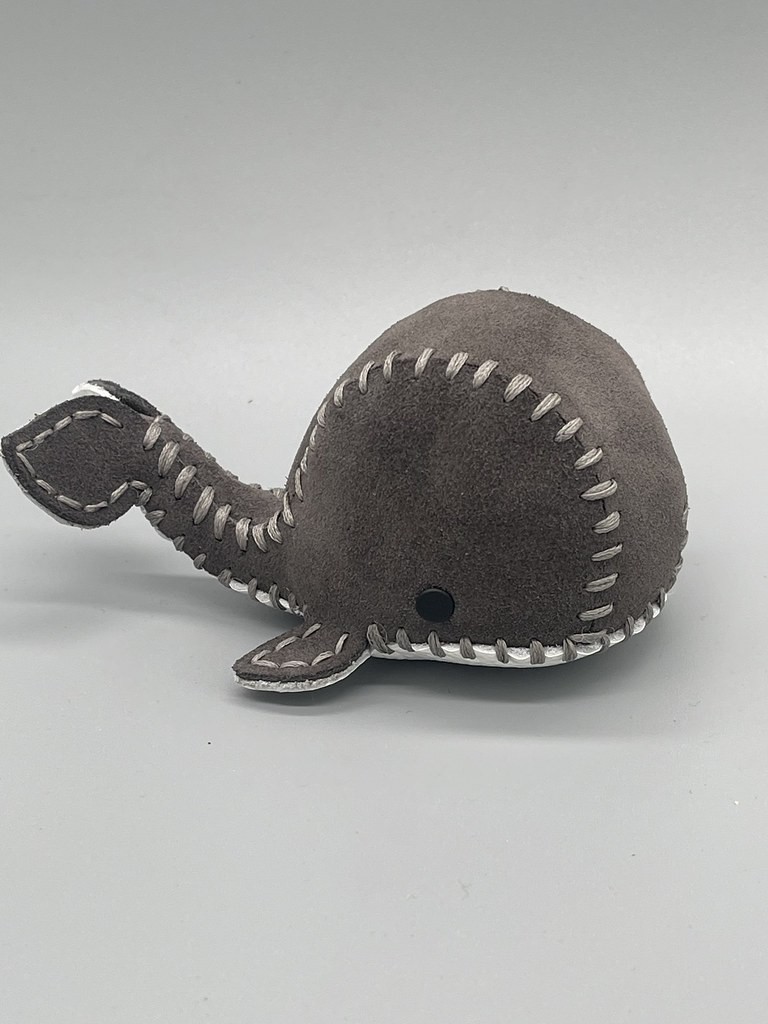 Click image for larger version

Name:	53418346480_85969b4a48_b.jpg
Views:	143
Size:	114.2 KB
ID:	4281106