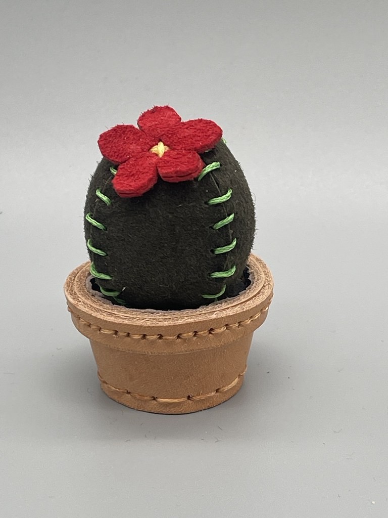 Click image for larger version

Name:	53418234909_402bae3523_b.jpg
Views:	114
Size:	117.7 KB
ID:	4281108