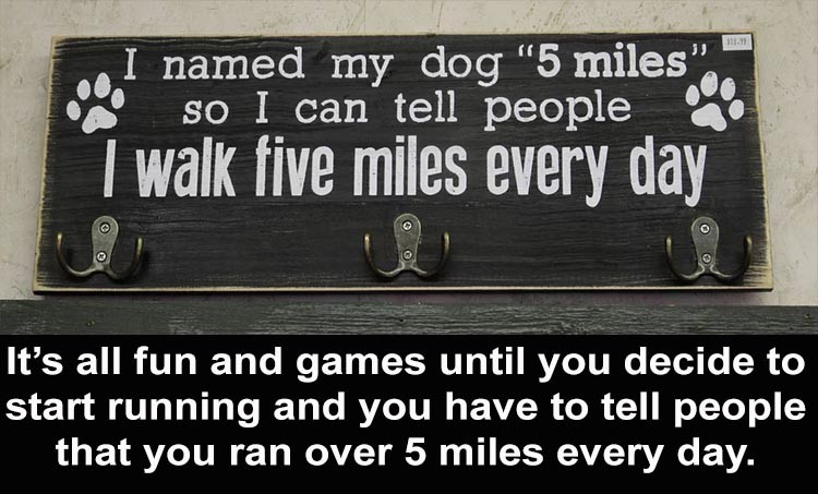 Click image for larger version

Name:	well-I-ran-over-5-miles-today.jpg
Views:	180
Size:	98.4 KB
ID:	4281935
