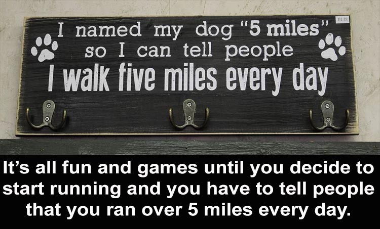 Click image for larger version

Name:	well-I-ran-over-5-miles-today.jpg
Views:	186
Size:	98.4 KB
ID:	4281935