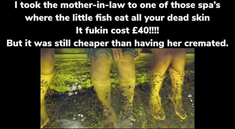 Click image for larger version

Name:	70256-2c173920-2b6a-4023-bbca-df7c9cd2a49d.jpg
Views:	186
Size:	64.1 KB
ID:	4284050