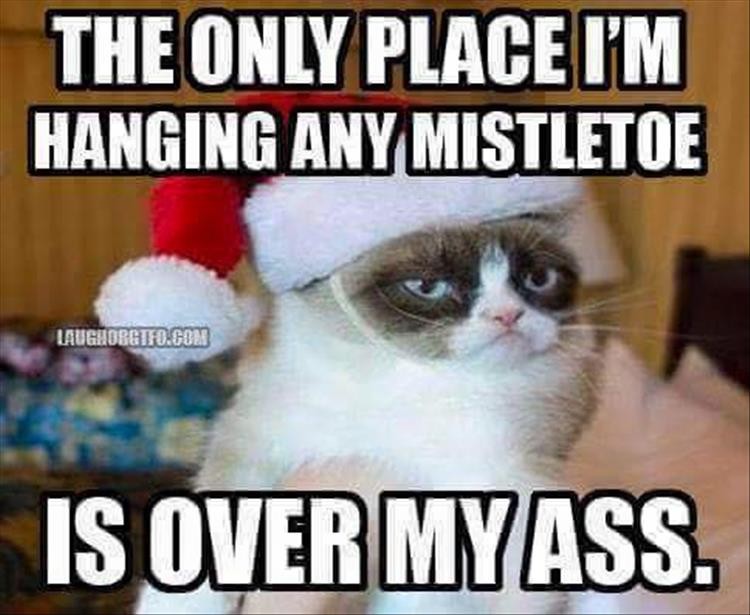 Click image for larger version

Name:	funny-christmas-pictures-1.jpg
Views:	224
Size:	91.7 KB
ID:	4286862