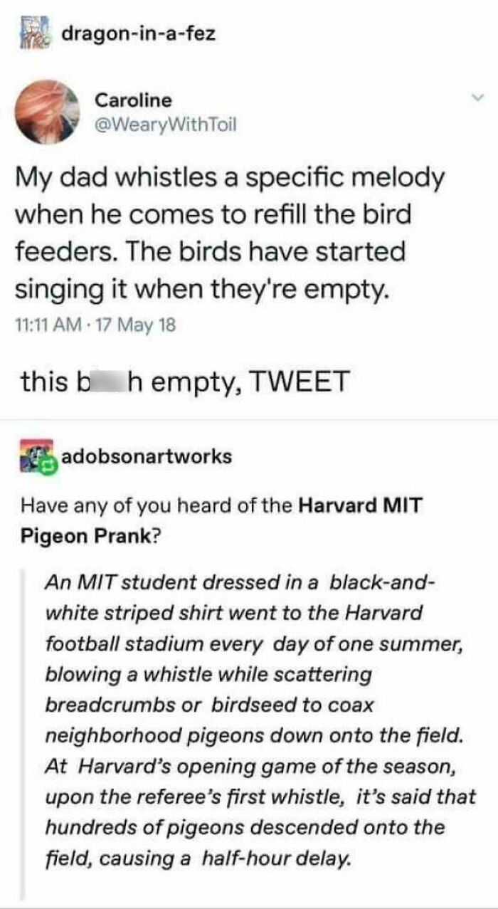 Click image for larger version

Name:	66332d3caeab0_1tgfa9a5xur41__censored__700.jpg
Views:	132
Size:	150.0 KB
ID:	4289178