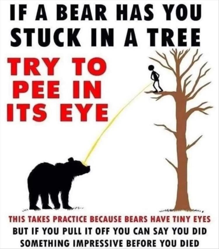 Click image for larger version

Name:	youre-wanting-to-go-1.jpg
Views:	111
Size:	89.3 KB
ID:	4289769