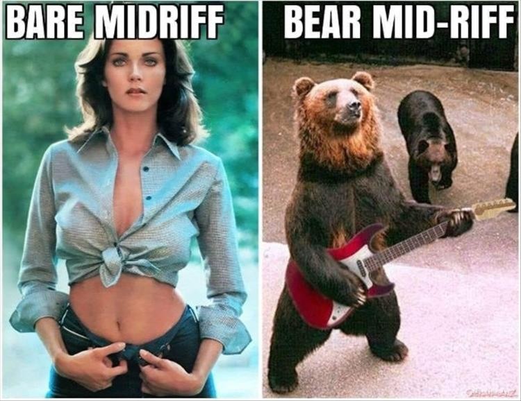 Click image for larger version

Name:	youre-weird-bears.jpg
Views:	166
Size:	104.8 KB
ID:	4292396