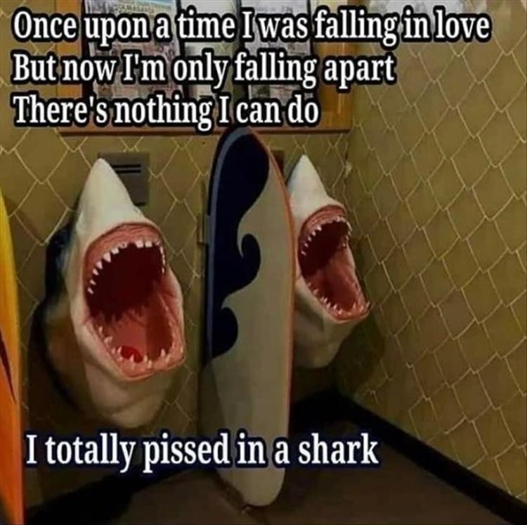 Click image for larger version

Name:	z-memes-11.jpg
Views:	124
Size:	98.8 KB
ID:	4294518