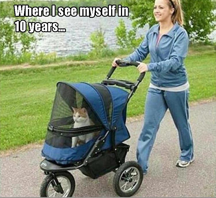 Click image for larger version

Name:	funny-250.jpg
Views:	100
Size:	128.4 KB
ID:	4295530