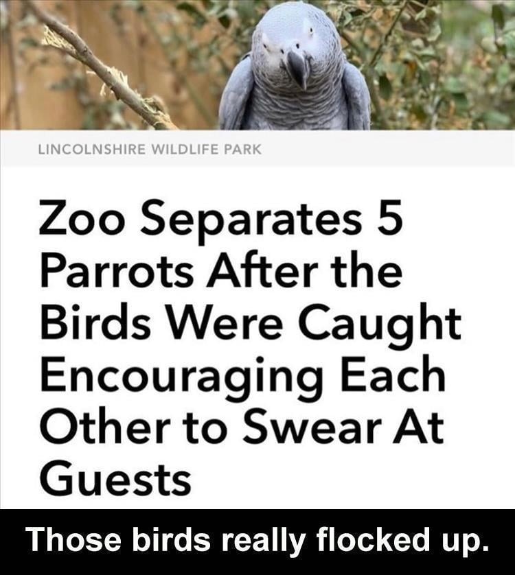 Click image for larger version

Name:	z-memers-230.jpg
Views:	141
Size:	103.9 KB
ID:	4295729