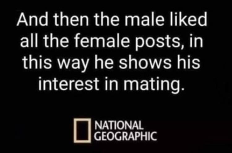 Click image for larger version

Name:	z-funny-162.jpg
Views:	101
Size:	39.6 KB
ID:	4296557