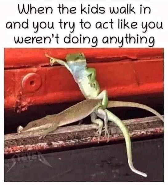 Click image for larger version

Name:	72824-417d4729-932f-49ae-87dc-2b95ab310bf2.jpg
Views:	169
Size:	62.8 KB
ID:	4297381