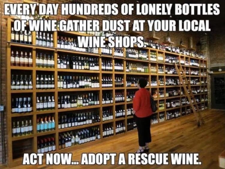 Click image for larger version

Name:	youre-wanting-wine.jpg
Views:	167
Size:	123.7 KB
ID:	4297405