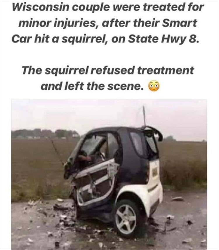 Click image for larger version

Name:	z-memes-4-1.jpg
Views:	120
Size:	85.7 KB
ID:	4297917