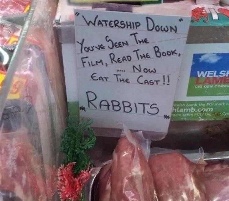 Click image for larger version

Name:	you-wanted-rabbits.jpg
Views:	88
Size:	88.3 KB
ID:	4298580